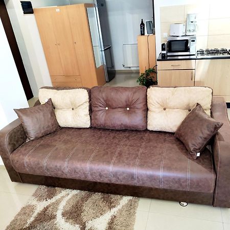 Appartement Studioul De Vis à Braşov Extérieur photo