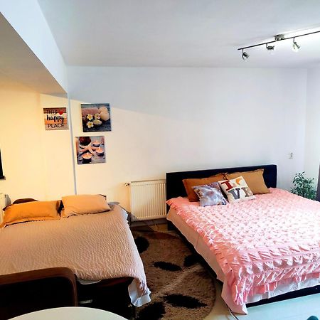 Appartement Studioul De Vis à Braşov Extérieur photo