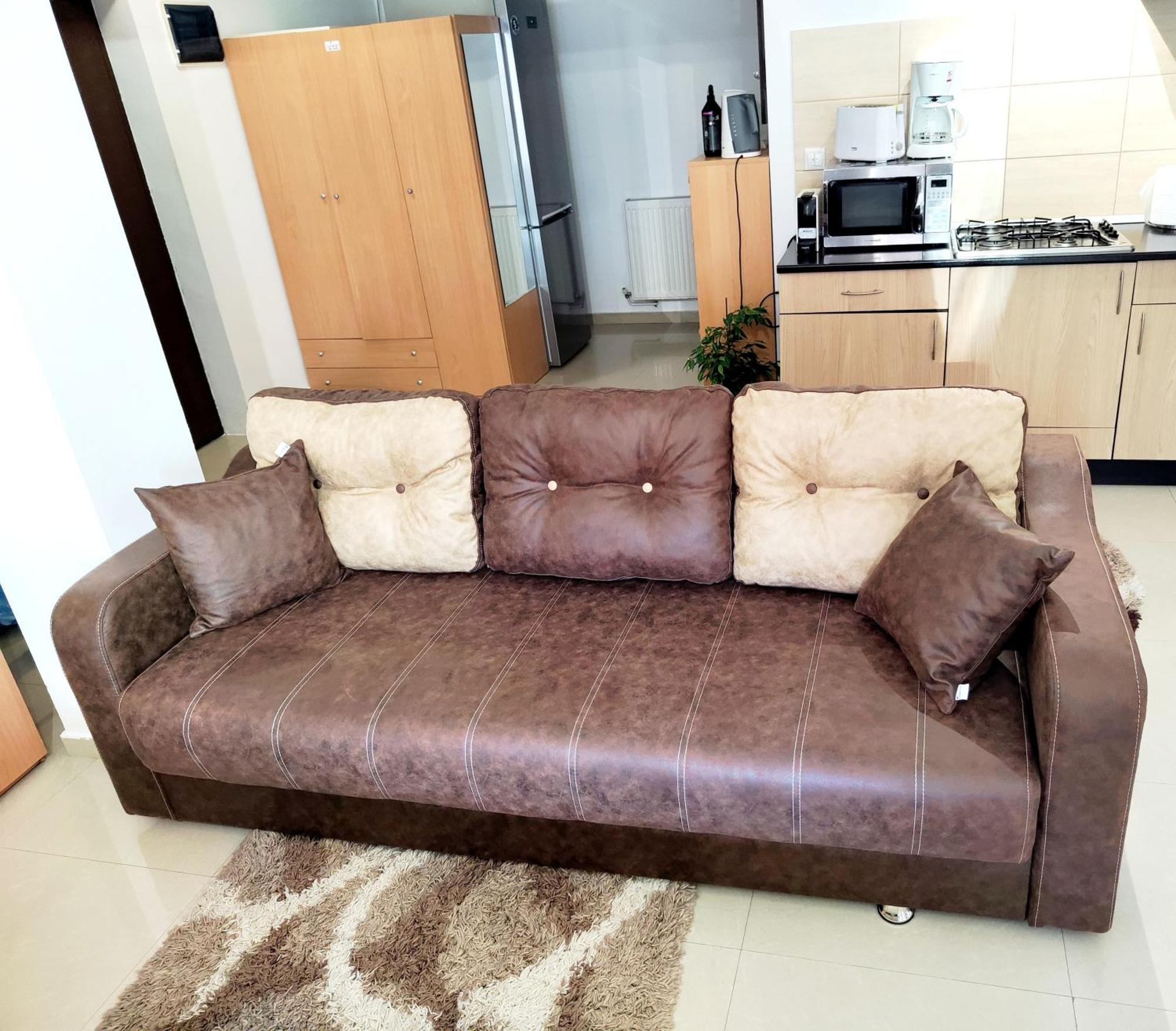 Appartement Studioul De Vis à Braşov Extérieur photo