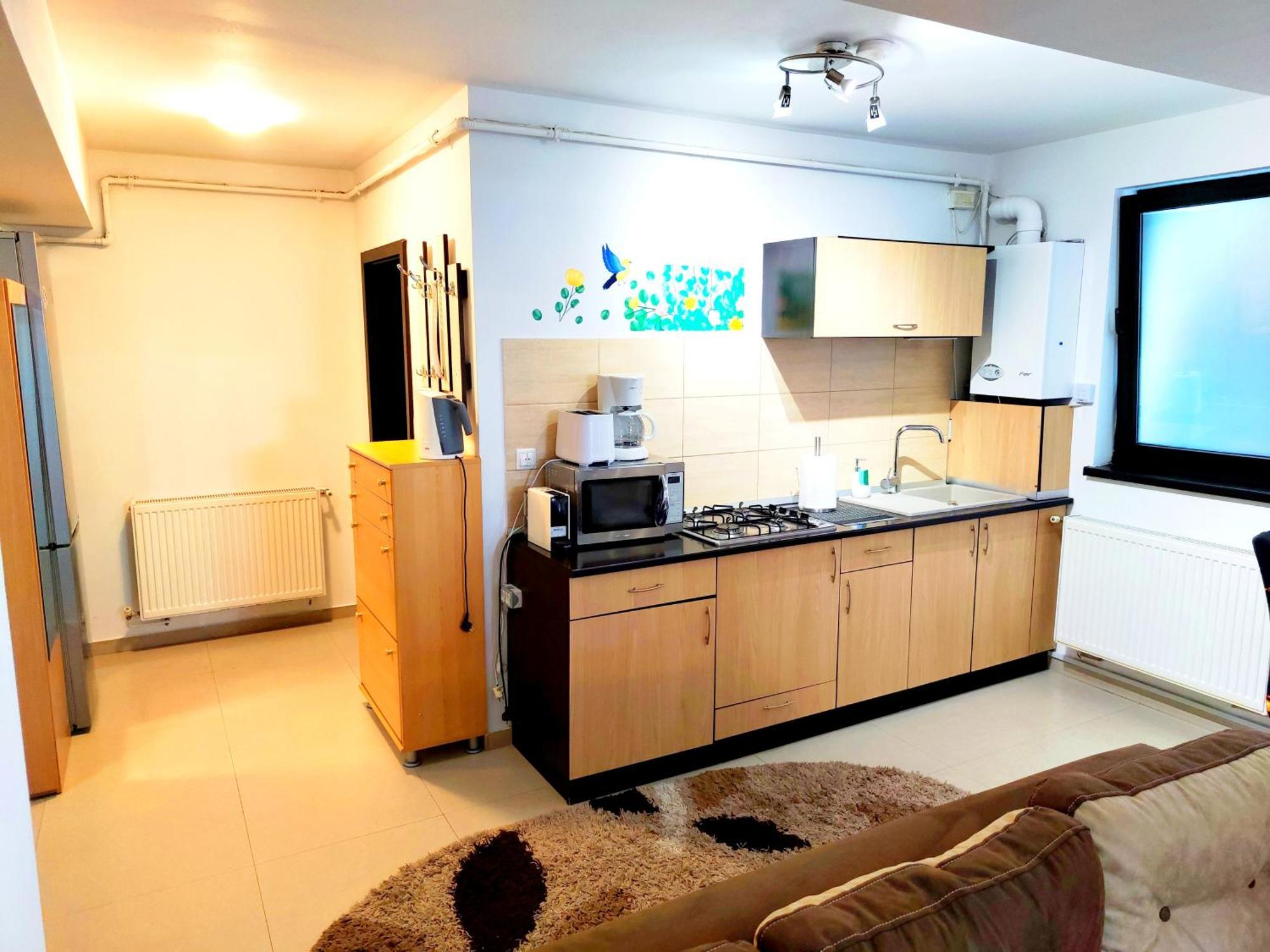 Appartement Studioul De Vis à Braşov Extérieur photo