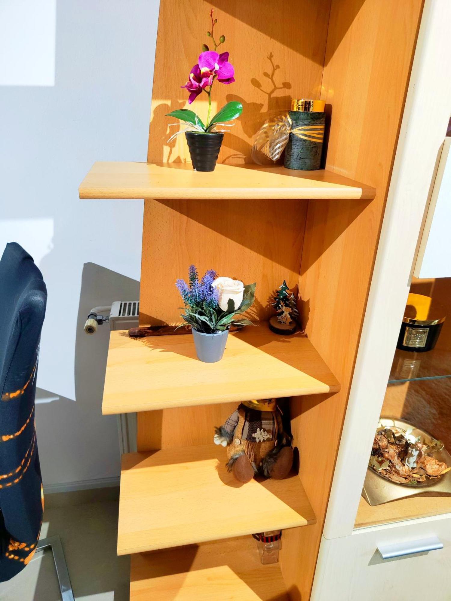 Appartement Studioul De Vis à Braşov Extérieur photo