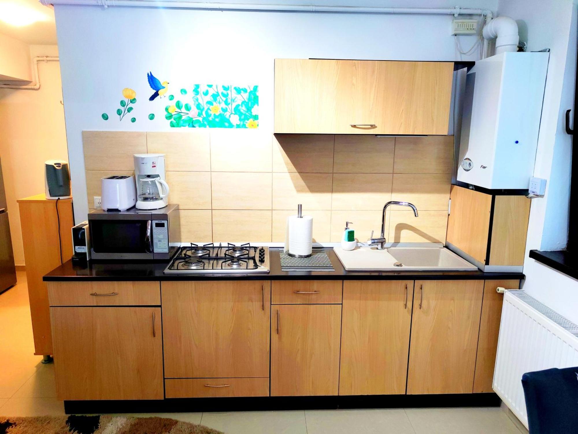 Appartement Studioul De Vis à Braşov Extérieur photo