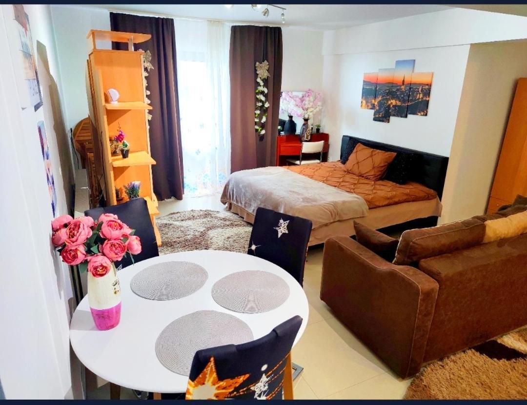 Appartement Studioul De Vis à Braşov Extérieur photo