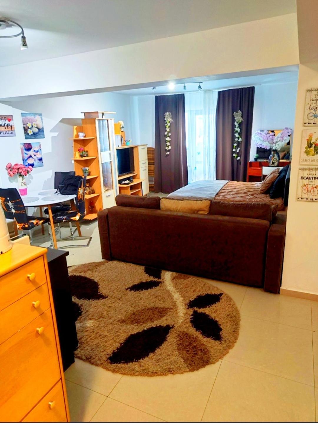 Appartement Studioul De Vis à Braşov Extérieur photo