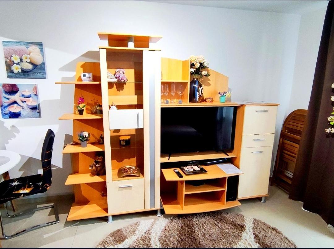 Appartement Studioul De Vis à Braşov Extérieur photo