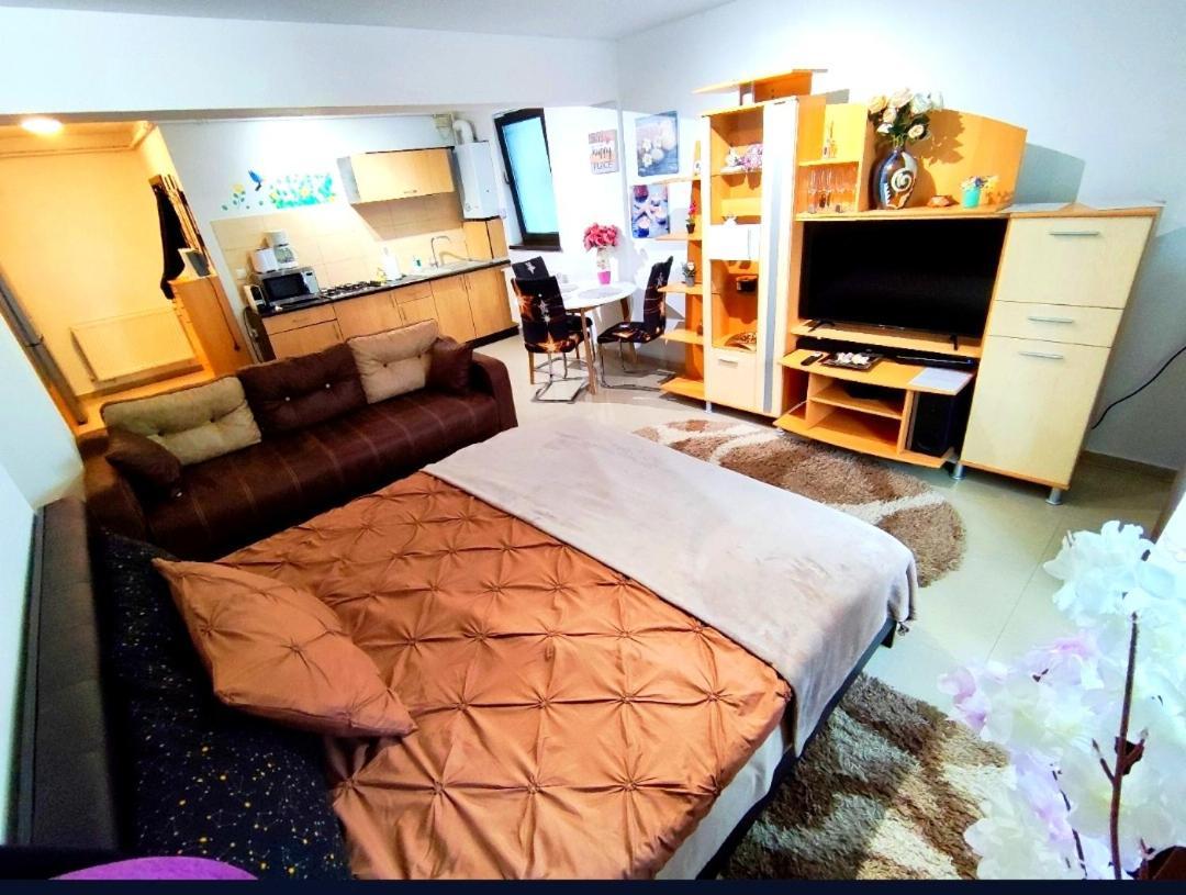 Appartement Studioul De Vis à Braşov Extérieur photo