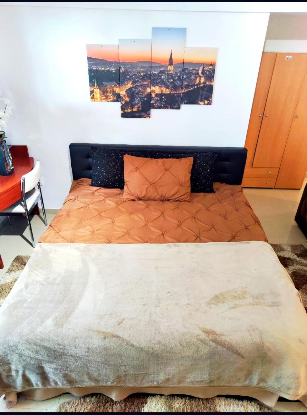 Appartement Studioul De Vis à Braşov Extérieur photo