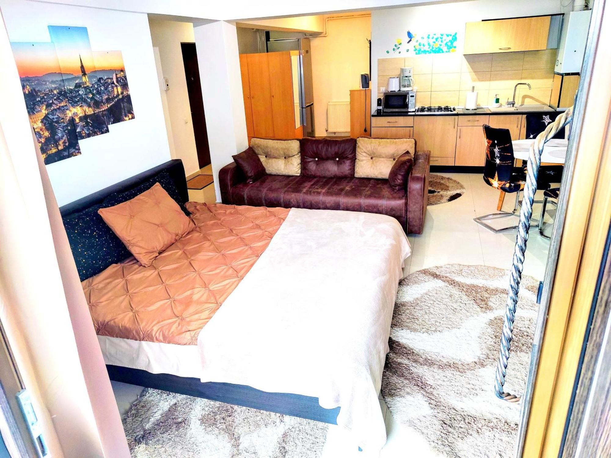 Appartement Studioul De Vis à Braşov Extérieur photo
